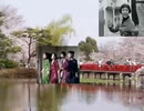 ジャズの海