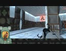【多肉にテストは解けるのか！？】PORTAL 実況プレイ【part3】