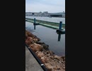 元SMAPの森君ついでに三連単当ててきた。