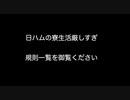 日ハムの寮生活厳しすぎ　規則一覧を御覧ください 　【2ch 5ch なんj まとめ 野球】