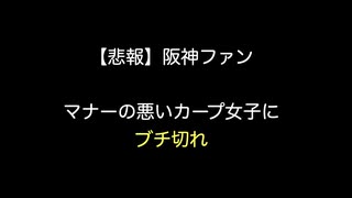 【悲報】阪神ファン　マナーの悪いカープ女子にブチ切れ 【2ch 5ch なんj まとめ 野球】