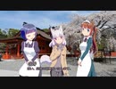 【そくドラ！外縁隊】 神様が往く！２２年６月その１【１０周年】