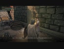 【ELDEN RING】発売日からトロコンするまで【実況】 part66