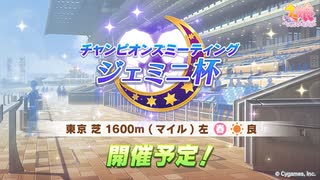 ジェミニ杯ルームマッチ100戦データ
