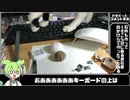 【猫乱入偏】宝石でピアス作った【ずんだもん】