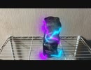 ZONe入りました