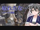 2022年6月4日　農作業日誌P285　信州UFO事件とジャガイモの掘り取り準備　VOICEVOX　MYCOEIROINK