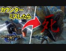 カウンターフルチャージを外したら「死」#防具なし縛りのモンハンライズSTEAM版実況プレイ【MHRISE】part23