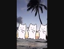 Dancing Cat