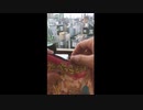 『いぬもわたしも』　クロシオ
