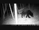 変態忍者の、有害鳥獣駆除従事活動記・その２００