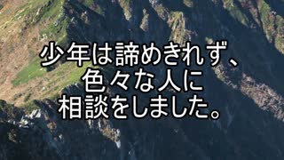 【意味が分かると怖い話】薬草