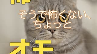 人気の 面白い話 動画 59本 ニコニコ動画