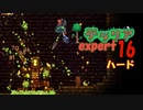 【ゲーム実況】一人でもなんとかなりそうな　テラリア上級ハード世界を遊ぶ 16【テラリア】
