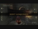 【エルデンリング】血のヘリケーで侵入【ELDEN RING】