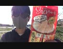 猫のエサ食べてたら通行人にキチガイだと思われたwww