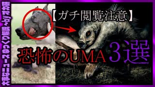 【 ゆっくり解説 】 実在！？ガチで 怖い UMA 3選( 怖い話 怪談 オカルト 都市伝説 好きな方向け！)