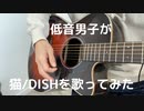 低音男子が「猫」/DISHをギター弾き語りで歌ってみた
