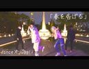 【たーきー×だふまる】春を告げる/踊ってみた×ヨーヨー【Shin0×MYO-SEI】
