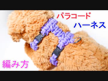 【ワンちゃんのお散歩用に 最適】パラコードでハーネス作ってみた！