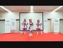 ウマ娘【踊ってみた】ユメヲカケル(G019ステージパフォーマンスより)