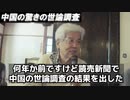 養老孟司 「中国人の驚きの実態」「働いてるのはフリーか社畜か」