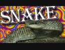 ほそめが/#98「Is it SNAKE！！！？？？？　What the f○ck？？？！！！」【ほそめとめがねの「箸にも棒にも掛からないラジオ」】