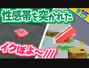 むっつりスケベ2人組が行く #15 【星のカービィ64】