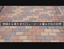 朝からお菓子を買いに行ったのに、特にそれには触れない【vlog】