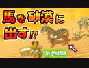 砂漠に馬を入れる方法！？アンローディングバグのやり方【ブレワイ BotW】裏技 バグ 検証 ゆっくり実況 glitch