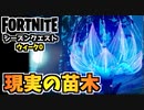 【フォートナイト】シーズンクエストウィーク0”現実の種、現実の苗木他”チャプター3シーズン3【Fortnite】