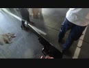 【サバゲー】1日目｜ルールもマップも銃もわからない【ピーチな気分】20220507