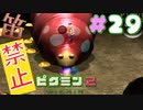 【笛禁止！】笛を吹くことができない主人公の冒険【ピクミン2実況】#29