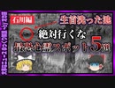 【 ゆっくり解説 】石川県 の 心霊スポット ５選( 怖い話 怪談 オカルト 都市伝説 好きな方向け！)