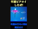 今回のビクロイ傘は綺麗で豪華な傘！「#shorts 」 「 Fortnite 」「 フォートナイト 」