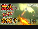 ハイラル城はバグで敵を消していけば正面突破余裕？【ブレワイ BotW】裏技 バグ 検証 ゆっくり実況 glitch