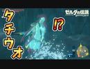 回転バグ中のシドに乗るとヤバい【ブレワイ BotW】裏技 バグ 検証 ゆっくり実況 glitch