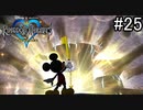 大スターはやっぱり凄かった【キングダムハーツ ファイナルミックス】#25(終)