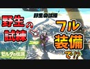 野生の試練に好きな服や武器を持ち込む方法【ブレワイ BotW】裏技 バグ 検証 ゆっくり実況 glitch