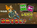 回転しながら染色した結果･ナボリスの雷は地底に届く？など小ネタ集【ブレワイ BotW】裏技 バグ 検証 ゆっくり実況 glitch
