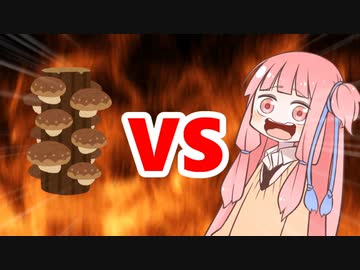 茜ちゃんVSしいたけ