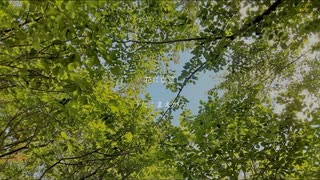 花に亡霊 歌いました。/まえがみ