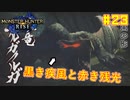 【ゆっくり実況】サンブレイク発売までにストーリー終わらすだけ Part23【MHRise/PC版】