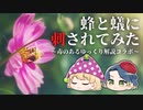 【ゆっくり解説】蜂と蟻に刺されてイグノーベル賞