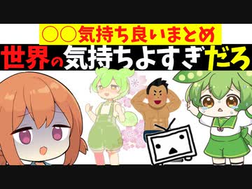 世界の○○気持ちよすぎでしょ！気持ち良すぎまとめ【voiceroid解説】