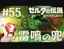 #55 ゼルダの伝説 ブレス オブ ザ ワイルド【雷鳴の兜】