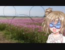 コスモス畑のオブジェなのでセーフ【ボイチェビ鹿児島部】