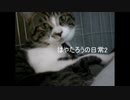 はやたろうの日常2