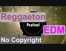 [フリーBGM] EDM ラテン，レゲトン，楽しい｜Peafowl {Prod. by tcyk}