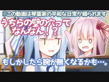 琴葉ARIA姉妹の平和な日常物だったもの【VOICEROID劇場】